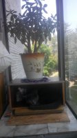 20150608115336.jpg
