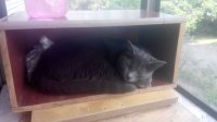 20150520115523.jpg