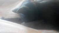20150609094857.jpg