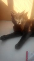 20150610191649.jpg