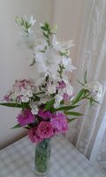 2015-06-12 15.52.28.jpg