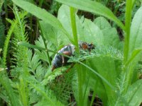 DSCN2078.JPG