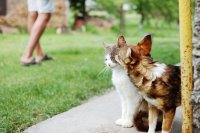 DSC_6921.jpg