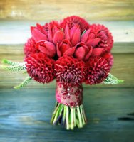 dahlia.jpg