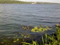 26062015588.jpg