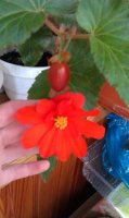 IMAG0523.jpg