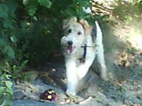 DSC00450.JPG