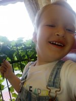 IMG_20150616_163951.jpg