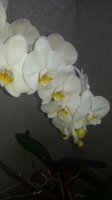 20150707_204355.jpg