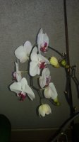 20150707_204325.jpg