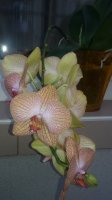 20150707_204316.jpg