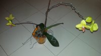 20150708_191100.jpg