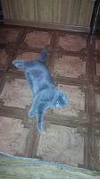 IMG_20150127_134509.jpg