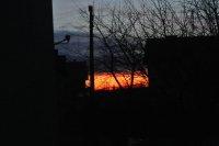 DSC_2878.jpg