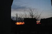 DSC_2880.jpg
