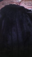 10846141_679903562131955_4815542783132967623_n (1).jpg