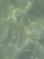 IMG_8757.JPG