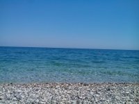 IMG_20150706_123156.jpg