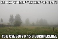 11262085_1005667092797714_5573940401568381888_n.jpg