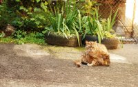 DSC_8853.jpg