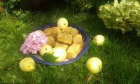 20150727_154356.jpg