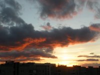 PB230729.jpg