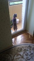 20150720_154301.jpg