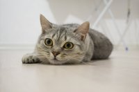 DSC_5953-fin.JPG