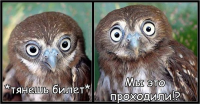 upload_2015-8-21_11-31-9.png
