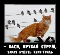 ja1ibgSloBA.jpg