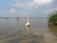 DSCN1472.JPG