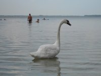DSCN1482.JPG
