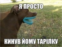 wO3pKSvkGRQ.jpg