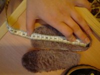 IMG_20150624_200944[1].jpg