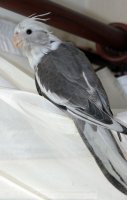 IMG_8404.JPG