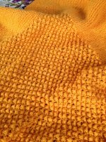 IMG_6015.JPG