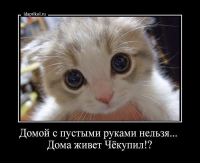 upload_2015-9-7_10-57-0.png