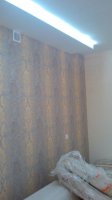 IMG_20150906_171305.jpg