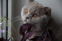 IMG_3875.JPG