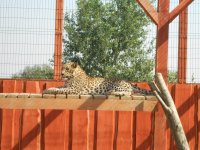 DSCN6554.JPG