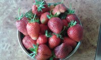20150609_150238.jpg