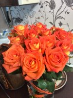 IMG_20151003_214200.jpg