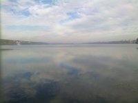 031020151343.jpg