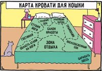 kartinki-pro-kotov.jpg