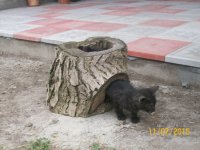 100_4525.JPG