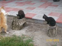 100_4527.JPG