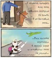 26e129a8a4bd4083099a000ad47a2a8600bb5f54_546.jpg