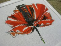 IMG_0642.JPG