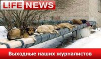 пси.JPG