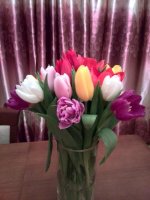 IMG_20150213_195824.jpg